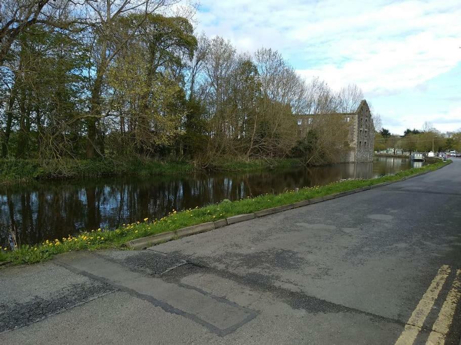 Appartement Small Town House, Barrow Lane, Bagenalstown, Carlow Extérieur photo